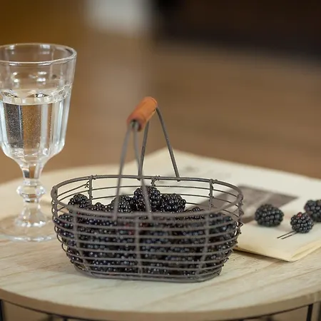 Apartamento Stacja - W Centrum Zakopane