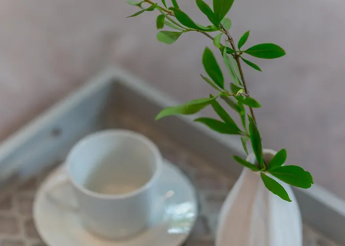 Stacja - W Centrum Lejlighed Zakopane