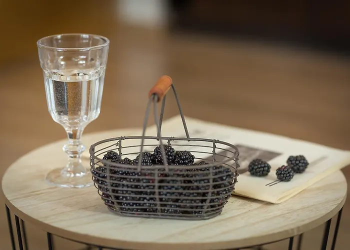 Lejlighed Stacja - W Centrum Zakopane